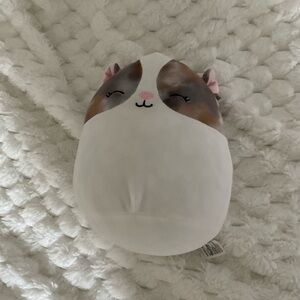 Squishmallows White and Brown Guinea Pig Plush
